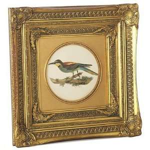  Framed Decorative Porcelain Bird Plate