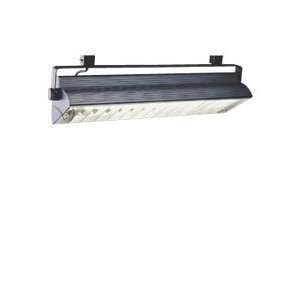   Black J Series Compact Fluorescent Wall Washer 2X40W