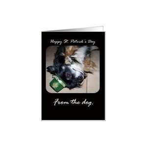  Happy St.Patricks Day from Dog Card Health & Personal 