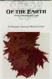 Pressed Flowers for crafts Japanese Maple Lf pack of 25  