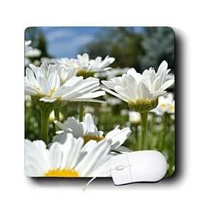 Patricia Sanders Flowers   Summer Daisy   Mouse Pads 