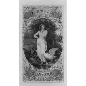  Virginia Dare, Label shows Leda and the Swan. c1871