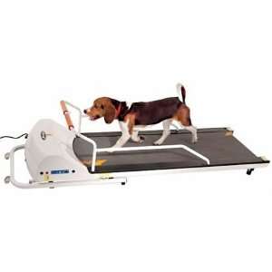  PetRun PR720F Dog Treadmill by GoPet