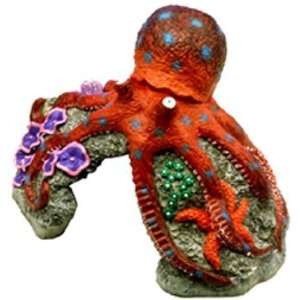  Exotic Environments Blue Ring Octopus