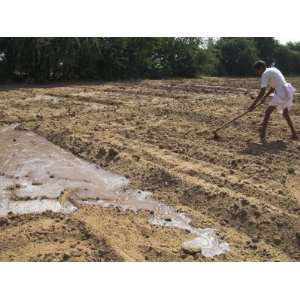  Farmer Working in Bare Field, with Flood Irrigation 