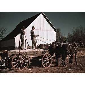  Georgia Fertilizer Wagon, ca. 1940 Photograph   Beautiful 