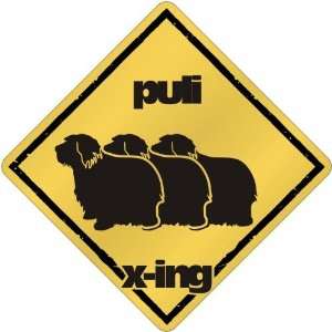  New  Puli X Ing / Xing Iii  Crossing Dog