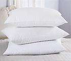 Pacific Coast 100 Feather Euro Square Pillow items in Pacific Pillows 