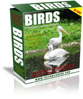 Printable BIRDS coloring ebook +BIRDWATCHING bonus 2in1  