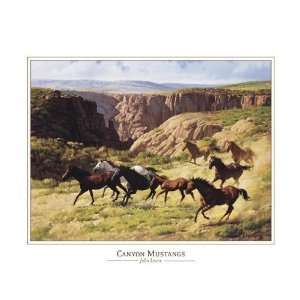  John Leone   Canyon Mustangs Canvas
