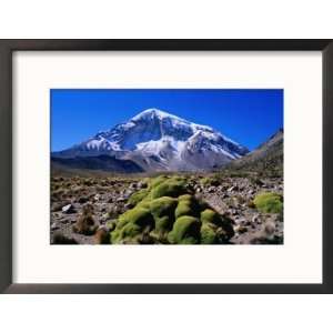  Yareta (Cushion Plant) in Front of Nevado Sajarma Peak 