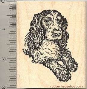 Beautiful English Cocker Spaniel dog rubber stamp J787  