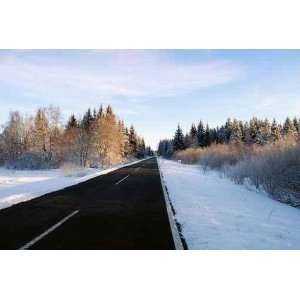  Winter Road   Peel and Stick Wall Decal by Wallmonkeys 