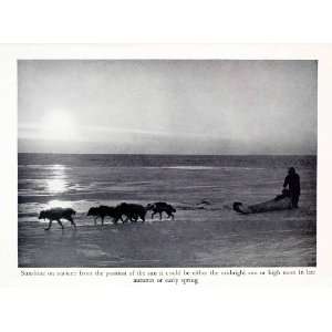   Arctic Siberian Husky Polar   Original Halftone Print