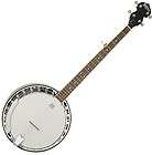 washburn b11k 5 string banjo w hard shell case b11