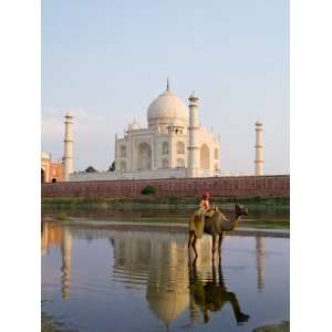 com Young Boy on Camel, Taj Mahal Temple Burial Site at Sunset, Agra 