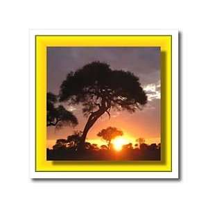  Tree at Sunset   6x6 Iron On Heat Transfer For White 