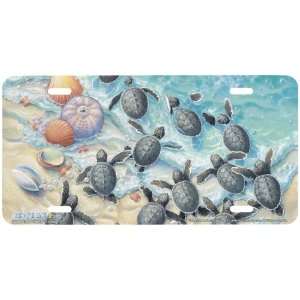 Green Turtle Hatchlings Baby Sea Turtles Ocean Beach Art License Plate 